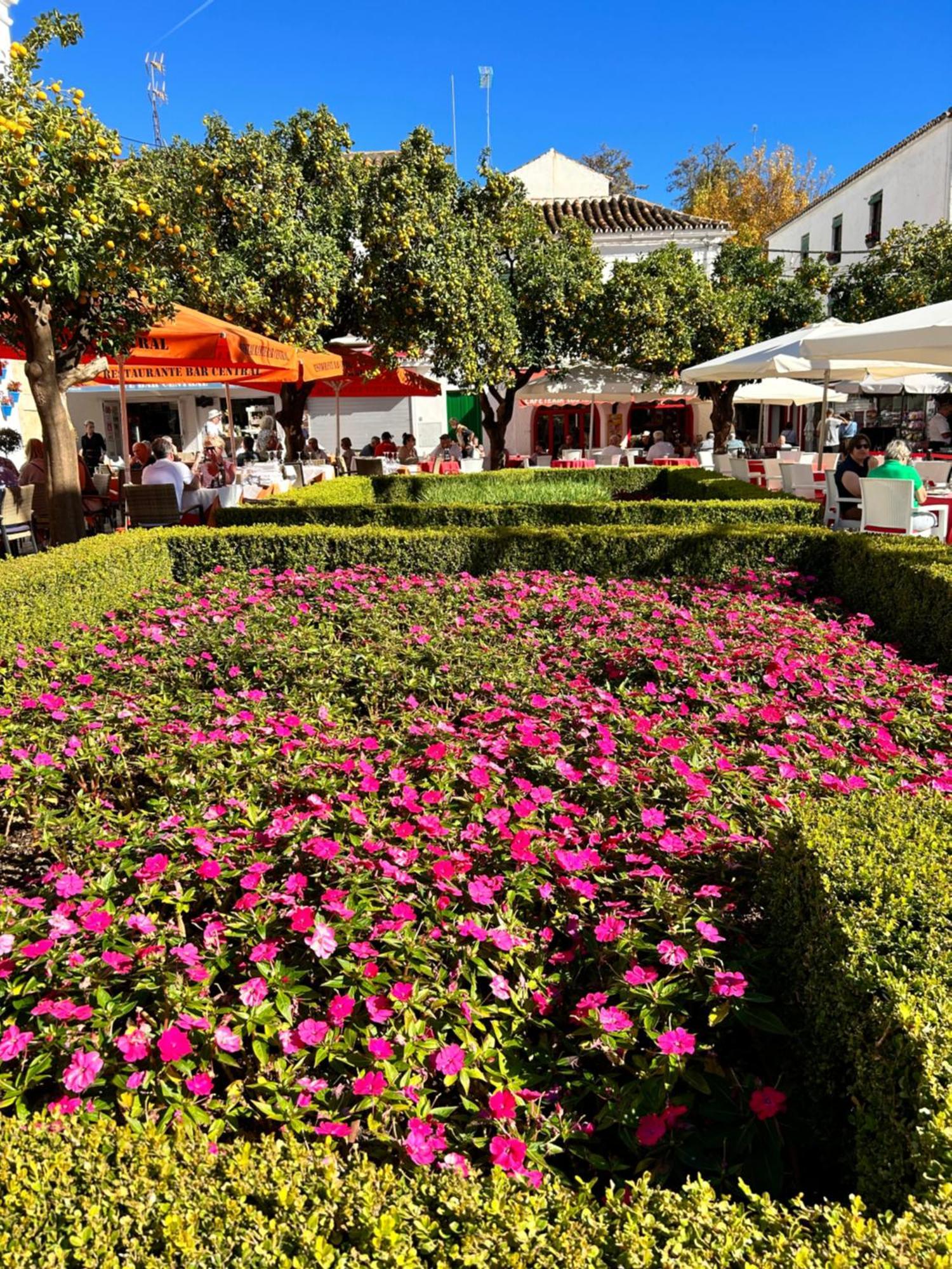 Mare Apartments Marbella Esterno foto
